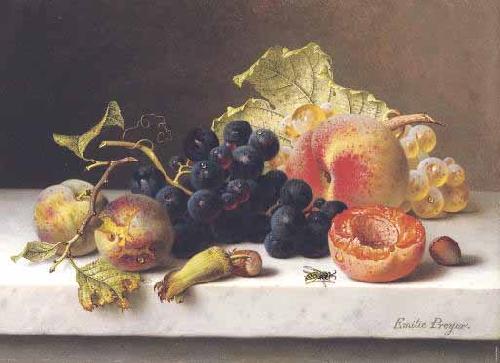 Johann Wilhelm Preyer Grapes peaches and plums on a marble ledge oil painting image